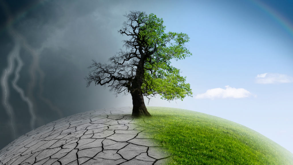 Prevent Climate Change Image
